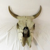 Animal skull with horns