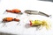 Heddon Zara Gossa Fishing Lure & 3 Plastic Fishing