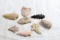 Lot of Found Arrowheads Largest is 2 1/4