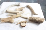 Deer Antler Pieces Great for Knife Handles Jewelry