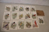 1927 Singer Sewing Machine 16 Bird Cards Complete