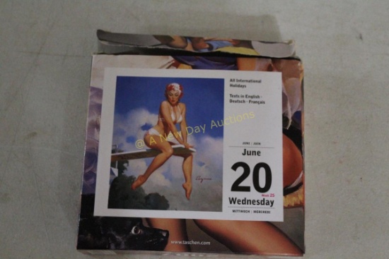 2007 Pin-Up Desk Calendar in Box & Unused
