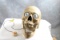 Halloween Animated Motion Singing Skull