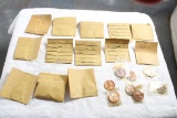 Lot of Old Uncirculated & Error Pennies