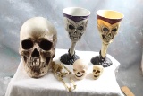 Halloween Skulls & Skeleton Lot 6