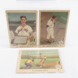 3 1959 Ted Williams Fleer Baseball Cards