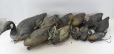 Goose and Duck Decoys