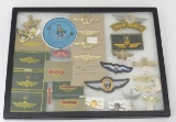 Peruvian Military Insignia - Paratrooper & more