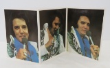 50+ Elvis Tri-Fold 8.25x11