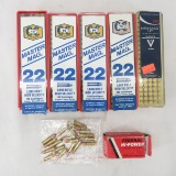 250+ rounds assorted .22 Ammo