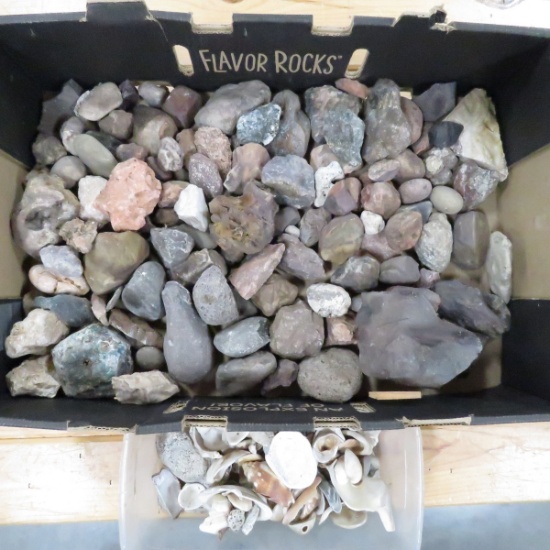 40 pounds rocks and minerals and seashells