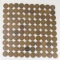 100 Mixed Date Indian Head Cents