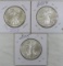 2013, 2014, & 2015 American Silver Eagles