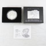 2003 W American Silver Eagle Uncirculated with box