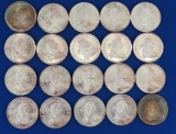 20 1 ozt .999 Silver Draped Bust Style rounds BU