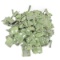 100 Alice Clip (LC-1) Adapters