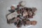 14lb Petrified Wood, Sedimentary Rock & More