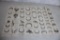 1897 Teeth of Horses Chart Dr. Louis Brandt V.S.