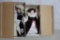 2 Franklin Heirloom Porcelain Dolls in Boxes 18