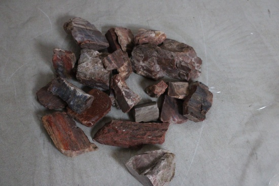 7lb Petrified Wood