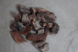 7lb Petrified Wood