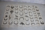 1897 Teeth of Horses Chart Dr. Louis Brandt V.S.