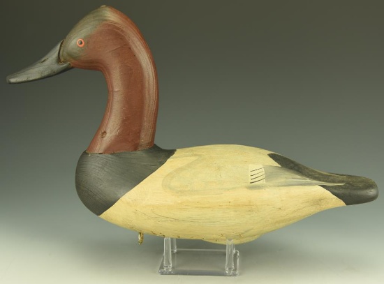 Lot 3398 - Vernon Bryant, Perryville, MD carved high head Canvasback drake branded BRYANT
