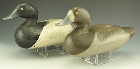 Lot 3415 - Pair of Madison Mitchell Greater Scaup in original paint circa 1954 excellent