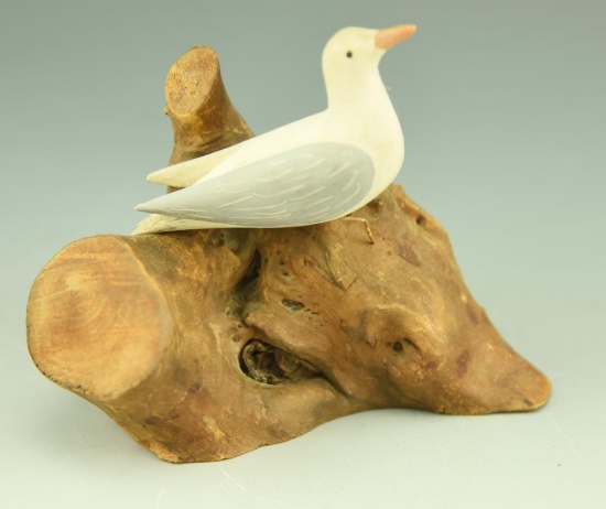 Lot 3484 - Primitive carved Gull on driftwood unsigned 4 ½”