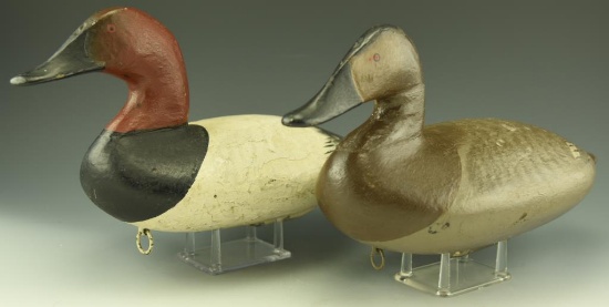 Lot 3487 - Magnificent pair of John Graham Canvasbacks Hen and Drake in Mitchell repaint  circa