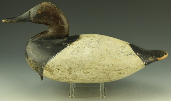 Lot 3488 - Important Scott Jackson, Charlestowm, MD Canvasback Drake Branded JH under tail from