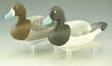 Lot 3464B - Pair of Capt. Roger Urie Rock Hall MD miniature Bluebills hen and drake signed
