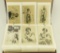Lot 1306 - Album containing approximately (300) postcard depicting Lina Calvalieri: some exampl