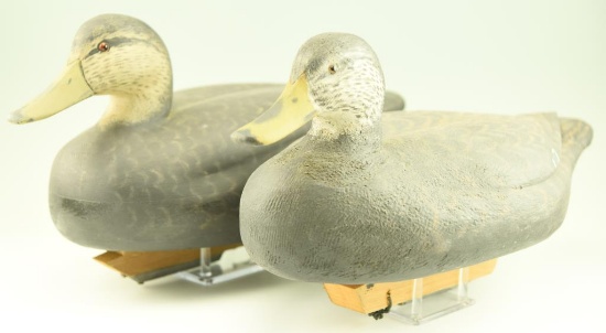 Lot #33 - Pair of custom carved Black Duck decoys with wooden keels and lead keel weight