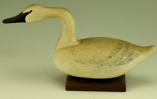 Lot #8 - Miniature carved Tundra Swan on wooden base Havre de Grace, MD region on wooden base