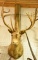 Caribou Mount in Boone & Crocket Book . Boone & Crockett will come with the mount.
