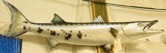 Baracuda Mount. Approx. 60" in length THIS ITEM IS NOT SHIPPABLE. Due to the Size  Item needs t