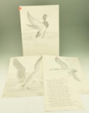 Lot #52 - (3) Pencil sketches by Glen Walters of Waterfowl and copy of Steve Ward poem “The