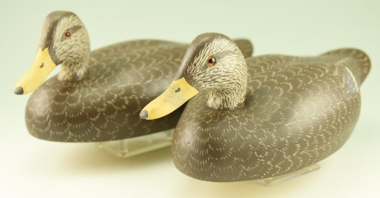 Lot #154 - Pair of Charles Birdsall Wildfowler Decoys 1975 Black ducks signed and dated on