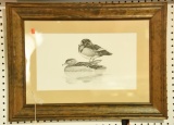 Lot #296 - Framed print of Wood Ducks signed Roy E. Lent 150/275 (24” x 18”)