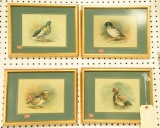 Lot #297 - Set of (4) framed prints on board of ducks: Mallard Drake, Goldeneye Drake and Hen,