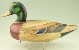 Lot #436 - Mallard Drake decoy (repaired bill) unsigned