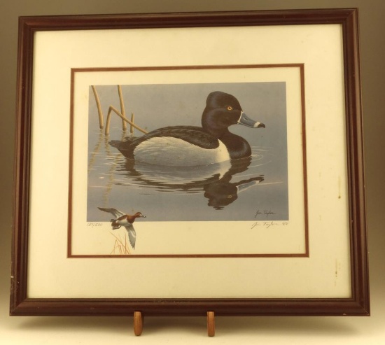 Lot #674 - Drake Ringneck L/E Signed & Numbered #139/500 Print. Signed by Jim Taylor. Dated 1988.