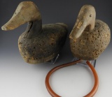 Lot #807 - Two Cork  Duck Decoys. #1 is unsigned Blackduck. Has a label on the bottom stating