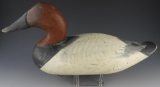 Lot #808 - Upper Bay Canvasback Drake Decoy with lead keep weight. (From the Estate of Morton