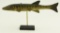 Lot #390 - Reggie Birch, Chincoteague, VA hand carved Pike fish decoy 12” signed on underside