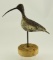 Lot #518 - Paul Nock, Salisbury, MD standing Sickle Bill Curlew signed and dated 1973 ( from the