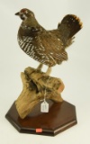 Lot #353D - Well executed Spruce Grouse on driftwood Taxidermy