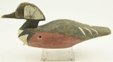 Lot #505 - Merganser from the Eastern Shore of VA carver unknown, original paint ( from the Mort