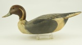 Lot #572 - Pintail drake attributed to Loi Reneri signed on underside Ward Brothers, Lem Ward